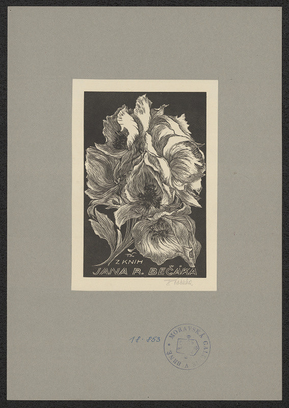 František Kobliha – Z knih Jana R.Bečáka 