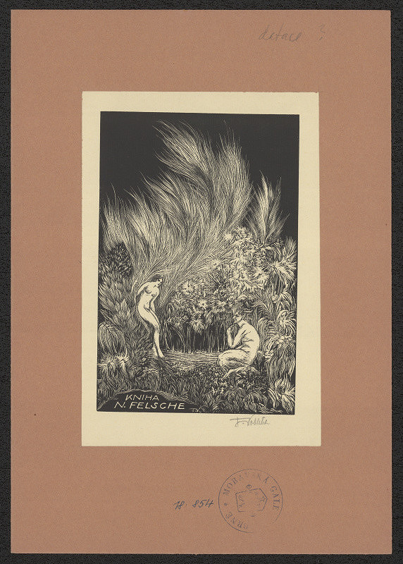 František Kobliha – Kniha  A. Felsche 