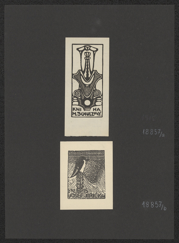 Anna Macková – Kniha M. Schulzové 