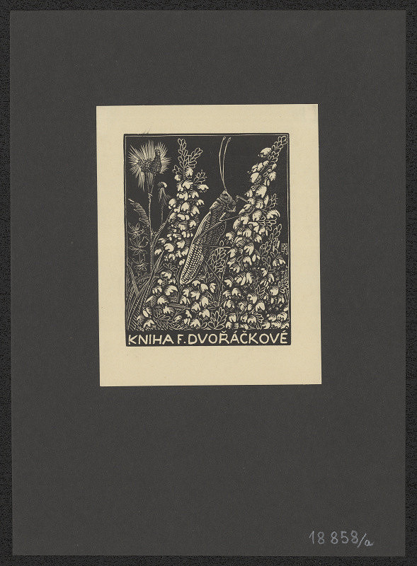 Anna Macková – Kniha F. Dvořáčkové 