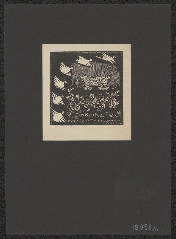 Anna Macková – Kniha manželů Friedlových 