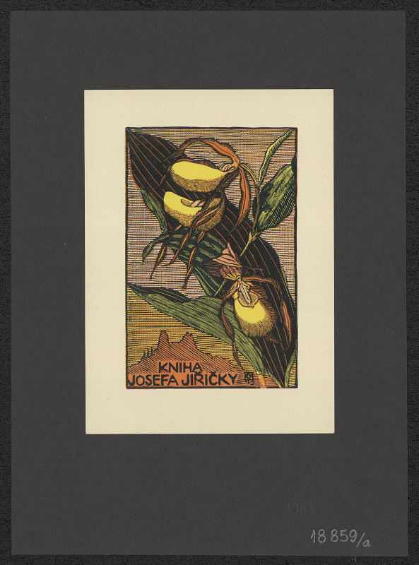 Anna Macková – Kniha Josefa Jiřičky 