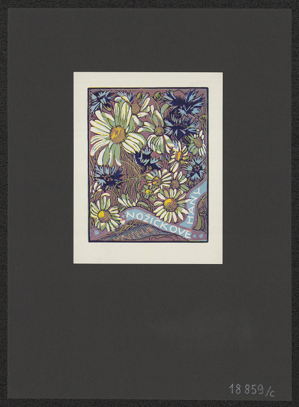 Anna Macková – Kniha Hany Nožičkové 