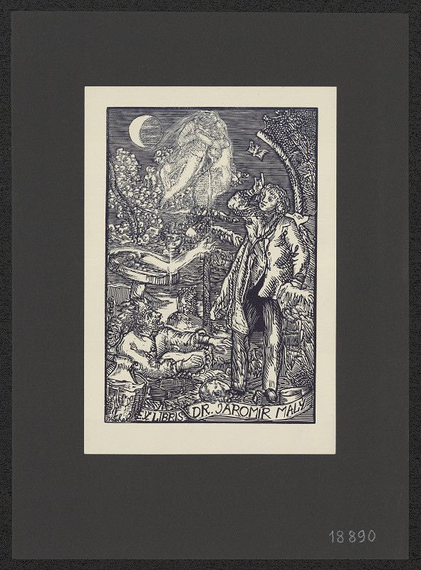 Josef Váchal – Dr. Jaromír Malý 