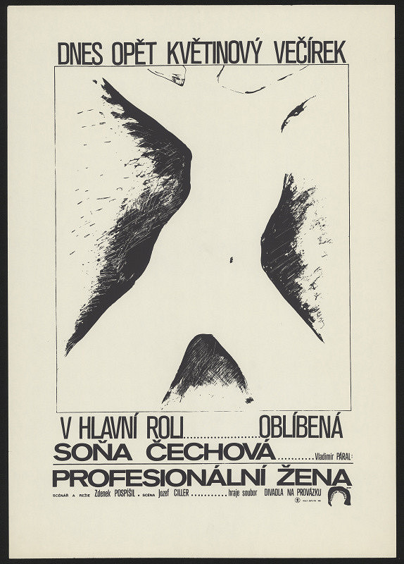 Dušan Ždímal – Profesionální žena 