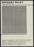 Libor Fára – Bridget Riley 
