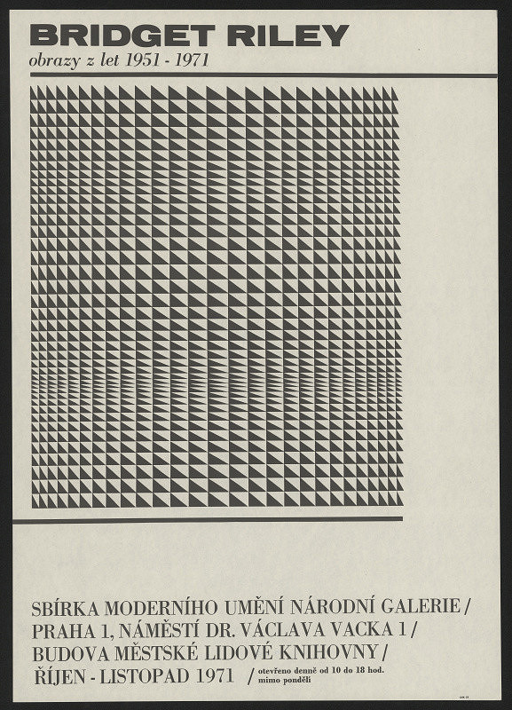 Libor Fára – Bridget Riley 