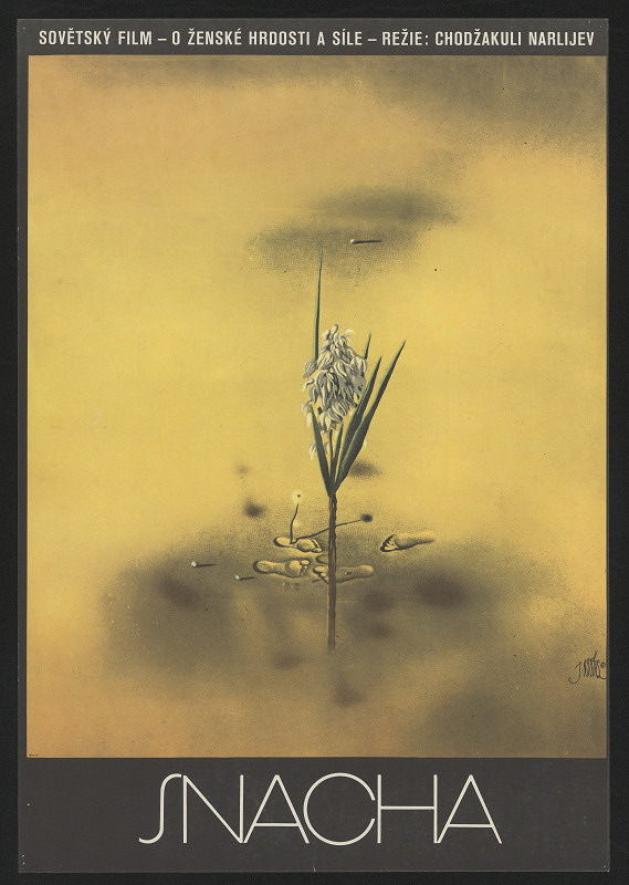 Josef Vyleťal – Snacha 