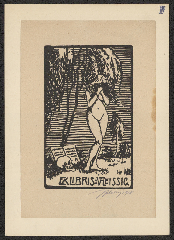 Vítězslav Fleissig – V. Fleissig 