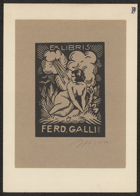 Vítězslav Fleissig – Ferd. Galli 