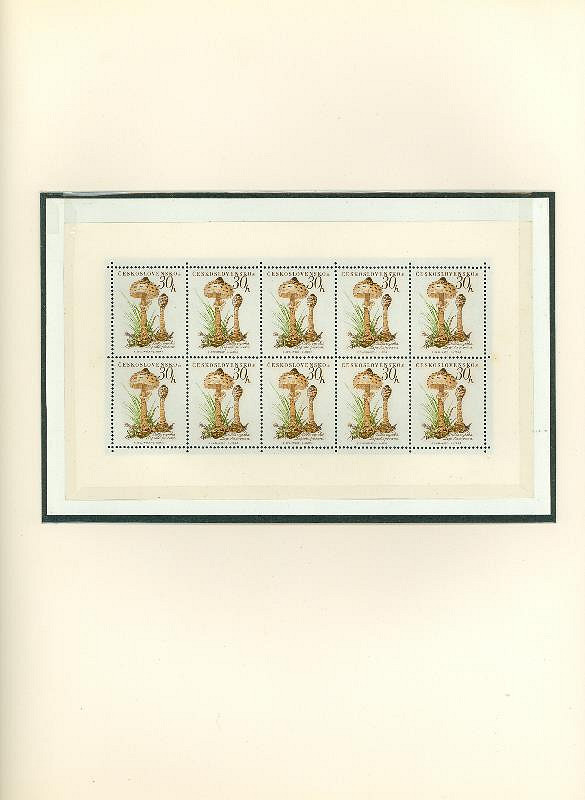 Karel Svolinský – Houby 