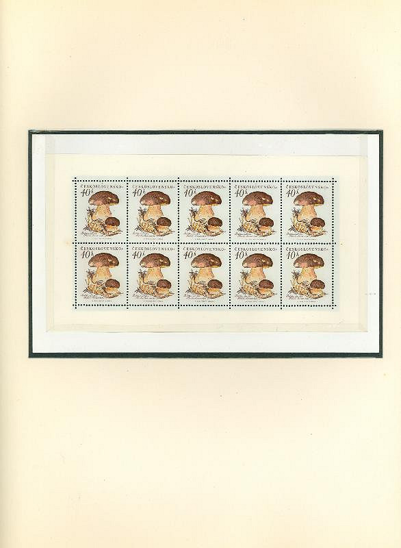 Karel Svolinský – Houby 