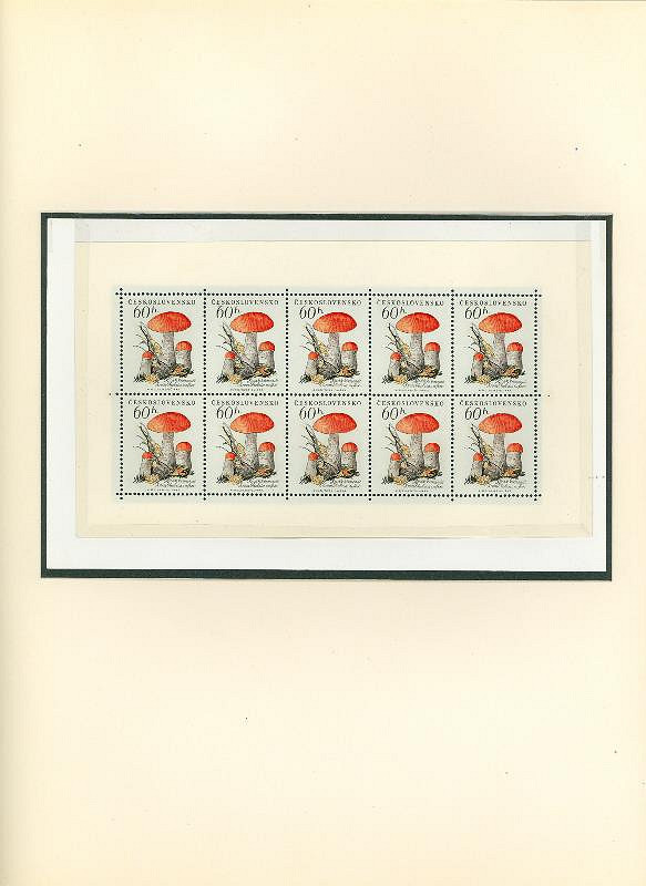 Karel Svolinský – Houby 