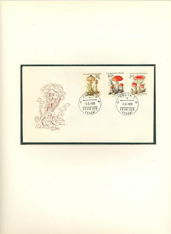 Karel Svolinský – Houby 