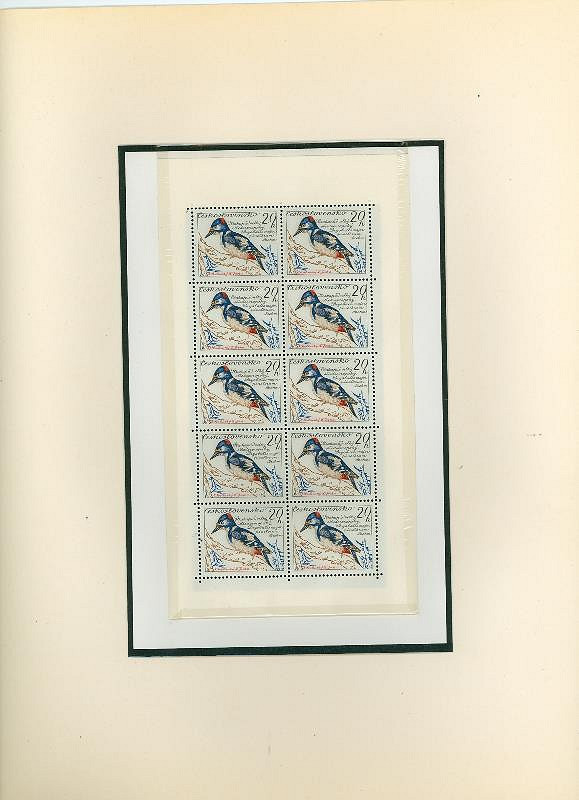 Karel Svolinský – Ptáci 