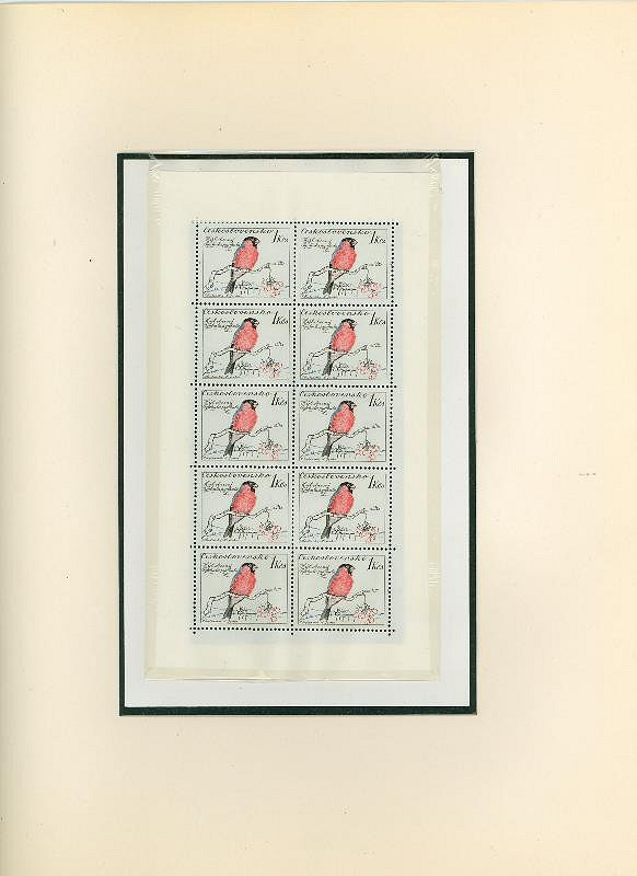 Karel Svolinský – Ptáci 