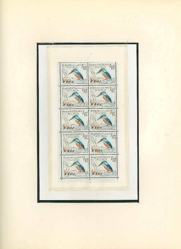 Karel Svolinský – Ptáci 