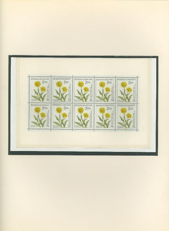 Karel Svolinský – Květiny 