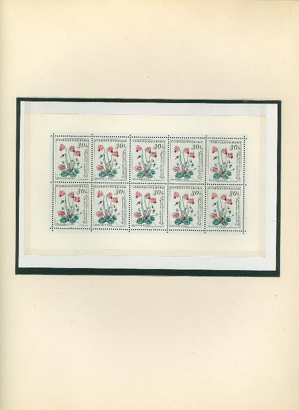 Karel Svolinský – Květiny 