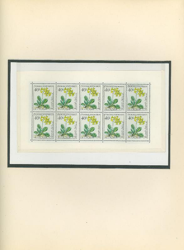 Karel Svolinský – Květiny 