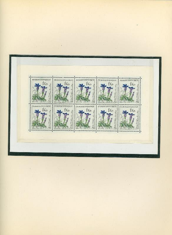 Karel Svolinský – Květiny 