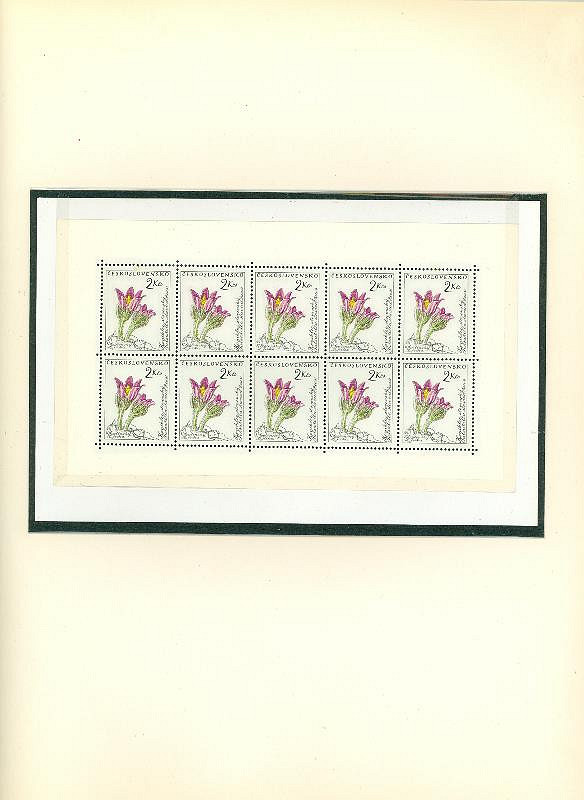 Karel Svolinský – Květiny 