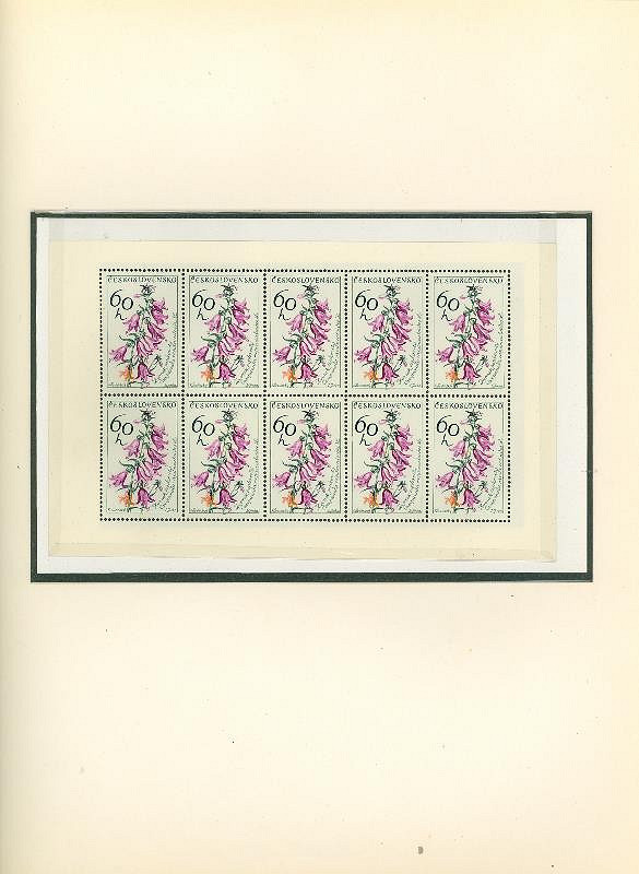 Karel Svolinský – Květiny 