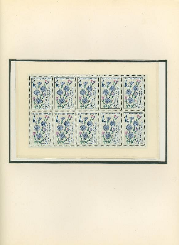 Karel Svolinský – Květiny 