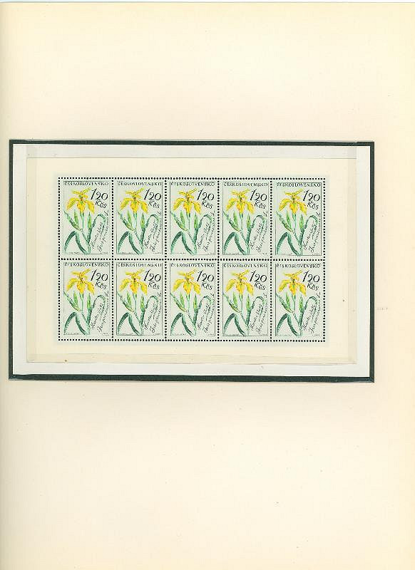 Karel Svolinský – Květiny 