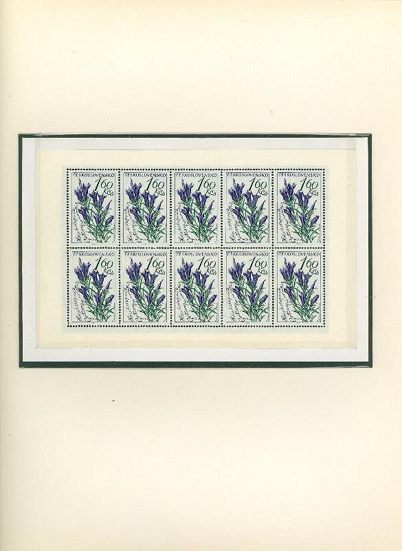 Karel Svolinský – Květiny 