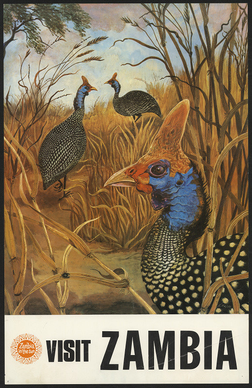 Gabriel Ellison – Visit Zambia 