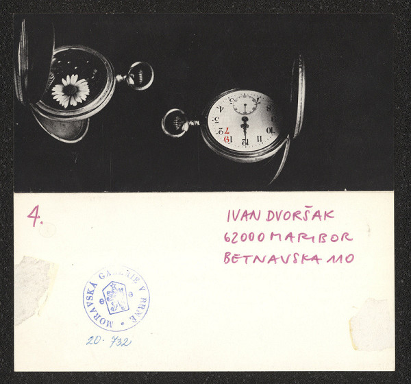 Ivan Dvoršak – novoročenka 