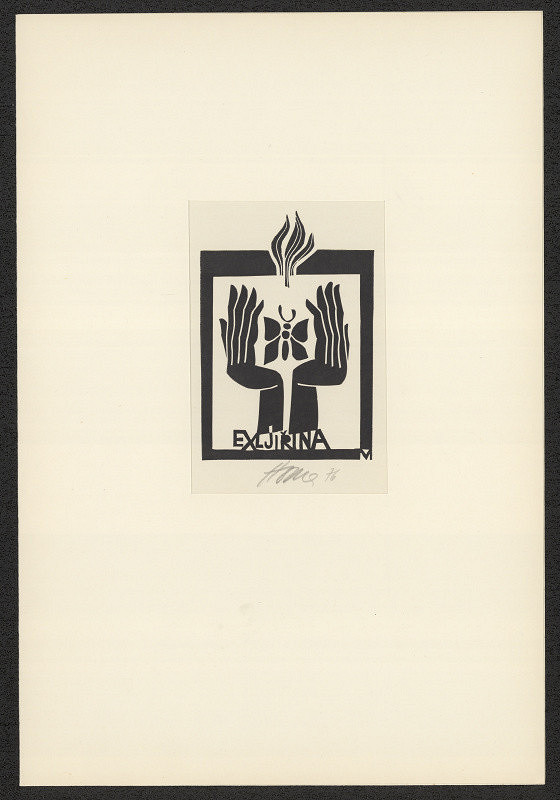 Miroslav Houra – EXL Jiřina 