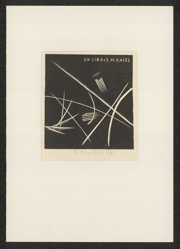 Dalibor Chatrný – Ex libris M. Kaizl 