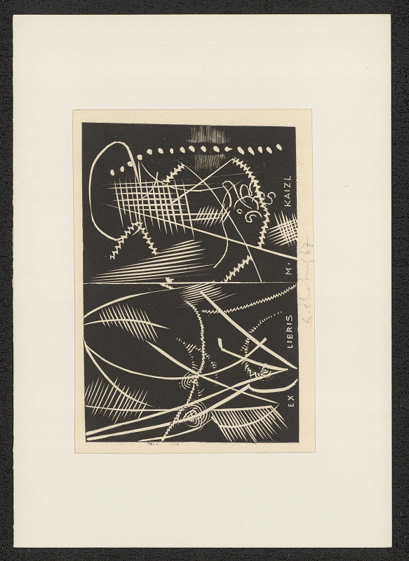 Dalibor Chatrný – Ex libris M. Kaizl 