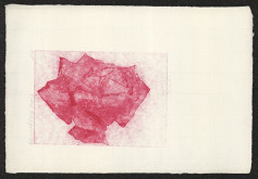 Marie Filippovová – Růže 