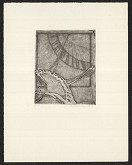 Marie Filippovová – Ptáci 