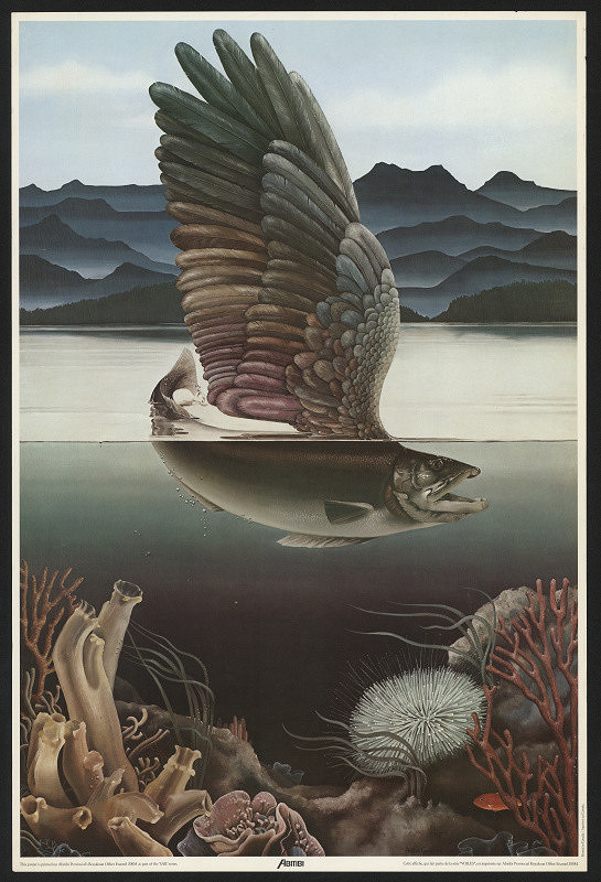 Heather Cooper – Abitibi