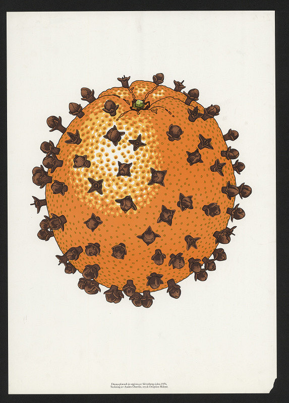 Anders Österlin – (bez názvu) 