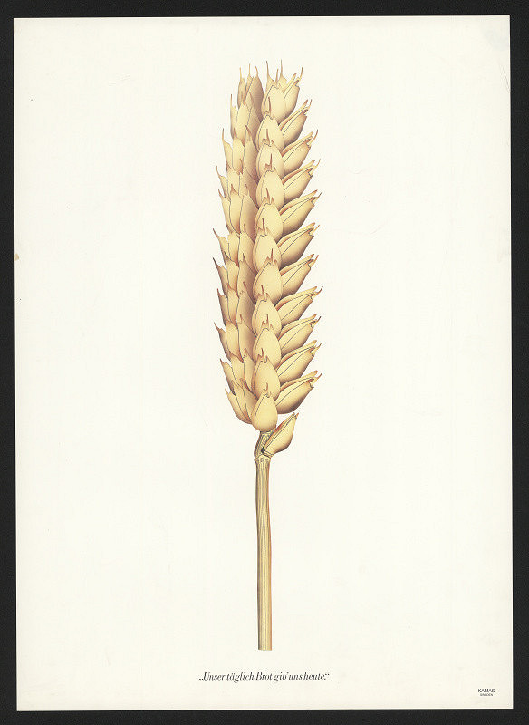 Anders Österlin – Kamas Industri 