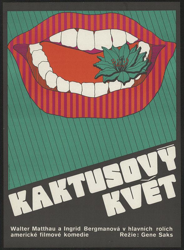 Olga Ćivrná – Kaktusový květ 