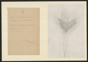 Antonín Jero – Popis postupu tisku z materiálu 