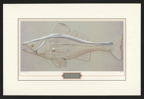 Eugene Hoffman – Run 