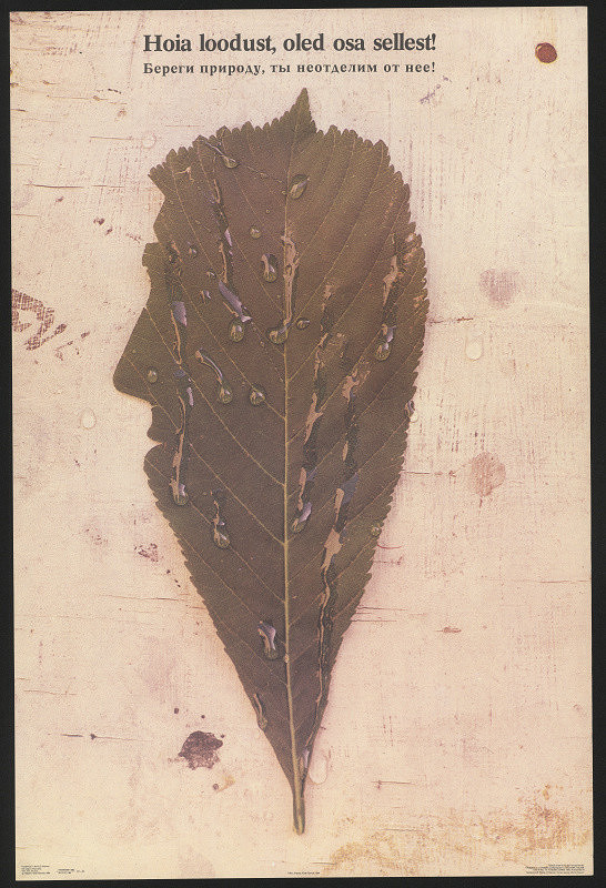 Villu Järmut – Hoia loodust… Chraň přírodu, jsi její součástí 