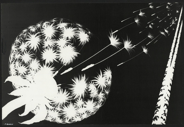 Rashid (Rašit) Akmanov – ekologický plakát - originální návrh 