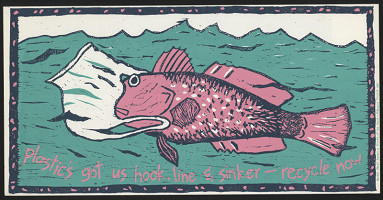 Carole Wilson – Plastic´s got us book, line and sinker - recycle now 