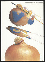 Ando Kanesato – A Celebrity of Earth in Song 