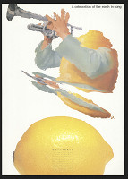 Ando Kanesato – A Celebration of the Earth in Song 