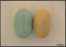 Miha Takagi – Loving 