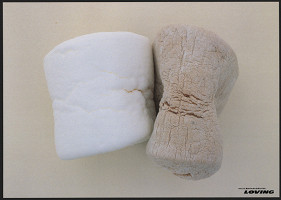 Miha Takagi – Loving 